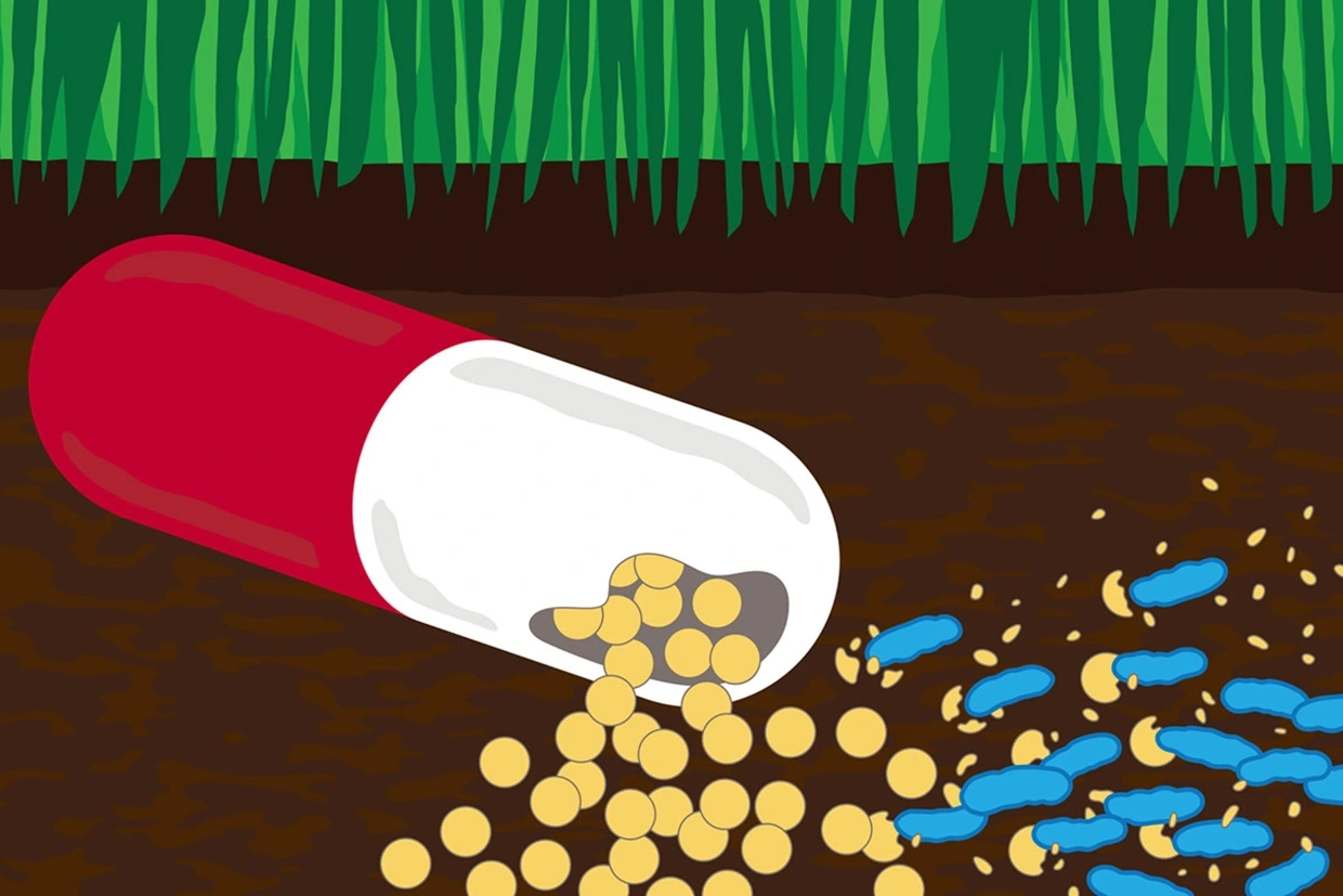 Bacteria and Antibiotics