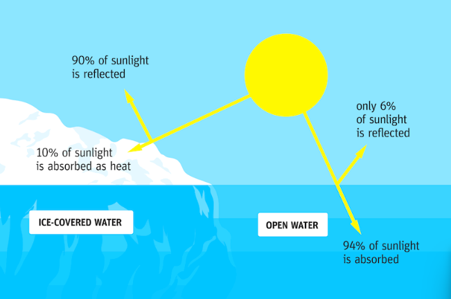 Sunlight Absorption