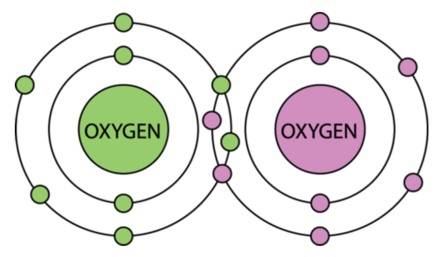 Covalent Bond in O2