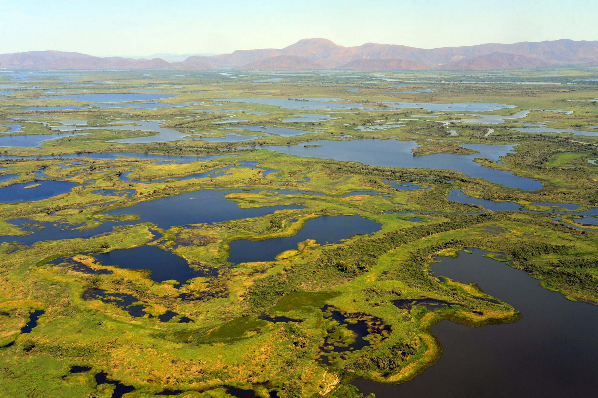 Wetland