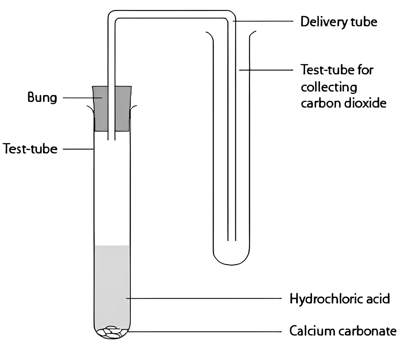 Preparing Salt Using Calcium Carbonate