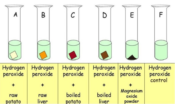 Using catalysts to speed up a reaction