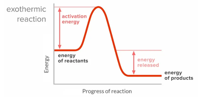 Collision theory graph in an exothermic reaction