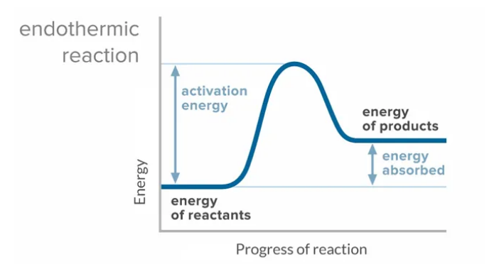 Collision theory graph in an endothermic reaction