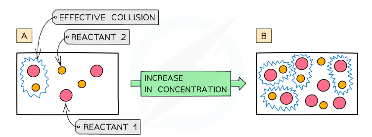 Concentration and the rate of reaction